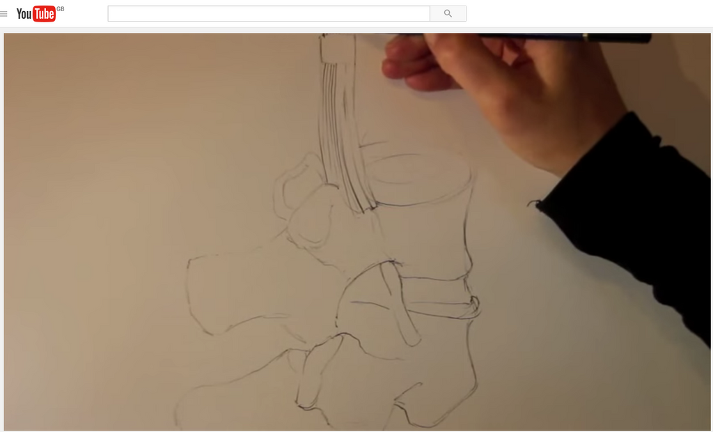 Sketching a Medical Illustration - Timelapse