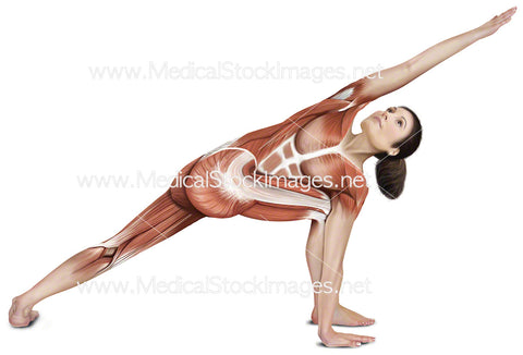 Yoga Pose Revolved Side Angle Parivrtta Parsvakonasana