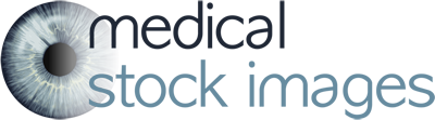 Medical Stock Images Company – medical illustration, stock photos and images