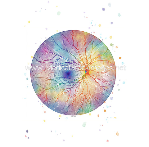 Retina in Watercolour Illustration Funky Style