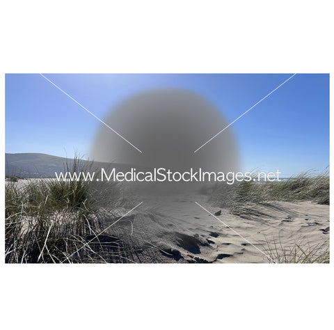 Macular Degeneration - A Patient's View