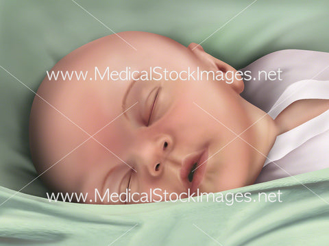 Foetus Development Week 40 (Newborn)