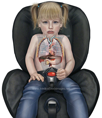 Child in Car Seat (Age 2 years)