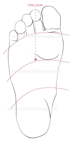 Yongquan Acupuncture Point