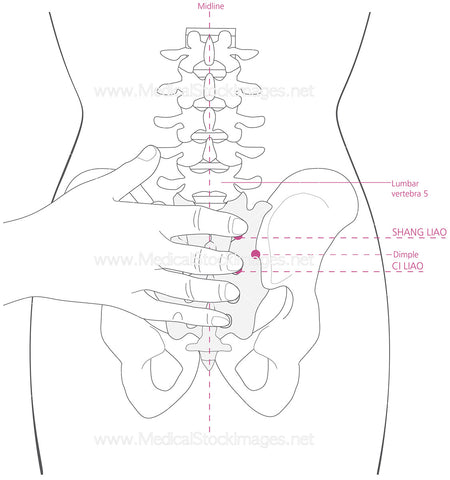 Ciliao Acupuncture Point