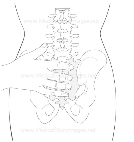 Ciliao Acupuncture Point (No Labels)