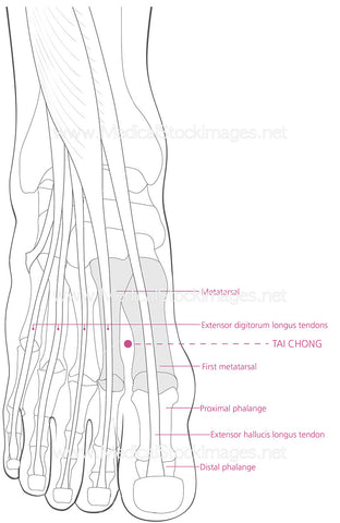 Taichong Acupuncture Point