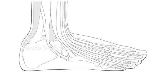 Kunlun Acupuncture Point with No Labels