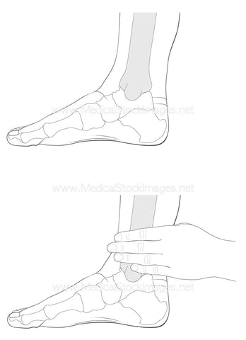 Sanyinjiao Acupuncture Point