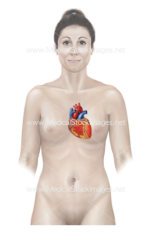 Female Figure with Heart