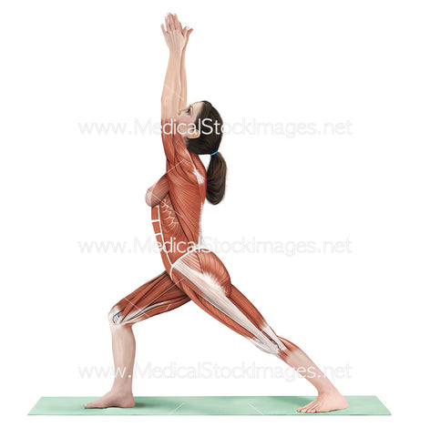 Yoga Pose Warrior 1 Virabhadrasana I