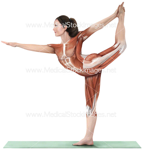 Yoga Dancers Pose Natarajasana
