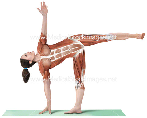 Yoga Half Moon Ardha Chandrasana