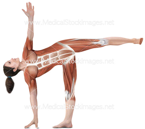 Yoga Half Moon Ardha Chandrasana