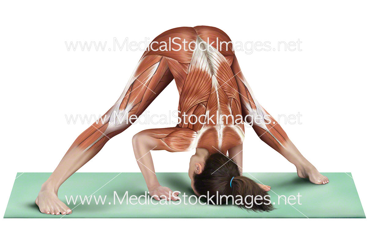 Wide-Legged Forward Bend with Namaste Hands