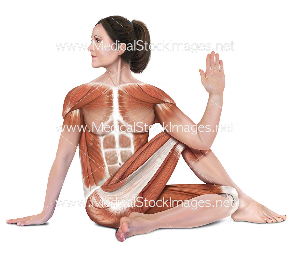 Ardha Matsyendrasana | Sitting Half Spinal Twist Pose | Yoga Benefits |  Video | Steps | فن العيش العراق