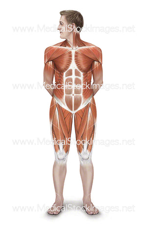 Rotating Neck Stretch