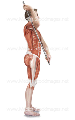 Assisted Subscapularis Stretch