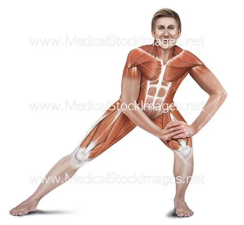 Side Lunge Adductor Stretch