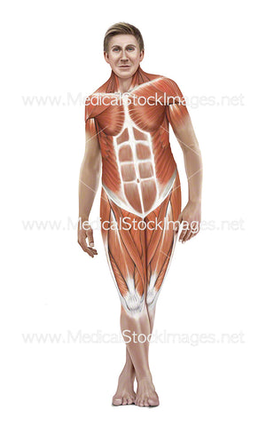 Standing Iliotibial Stretch