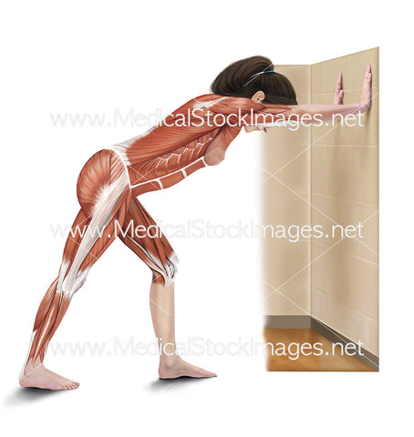 Leaning Calf Stretch