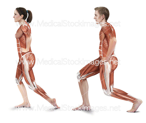 Standing Shin and Standing Achilles Stretches