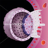 Significant Weeks of Fetal Development - (Multipack of 21 IMAGES)