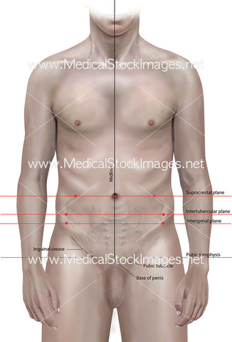 Planes of the Body in Anterior View