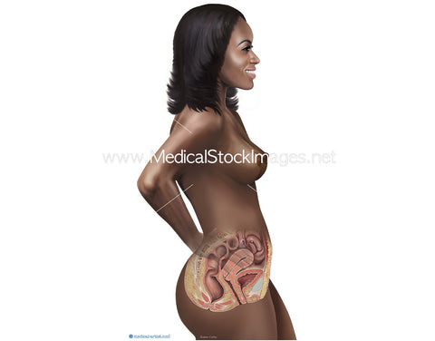 Black Woman with Reproductive Anatomy.