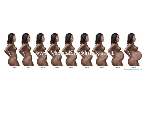 Black Woman and Baby Illustration and her Pregnancy Timeline - Labelled.