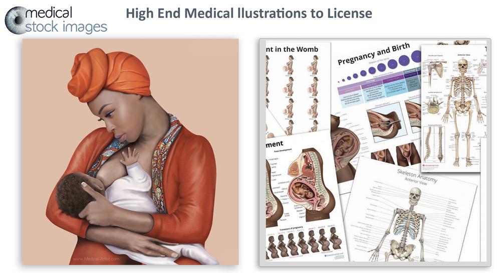 fetal medical illustration